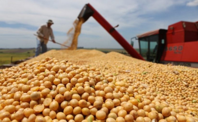 Datagro: colheita de soja atinge 91,8% da área da safra